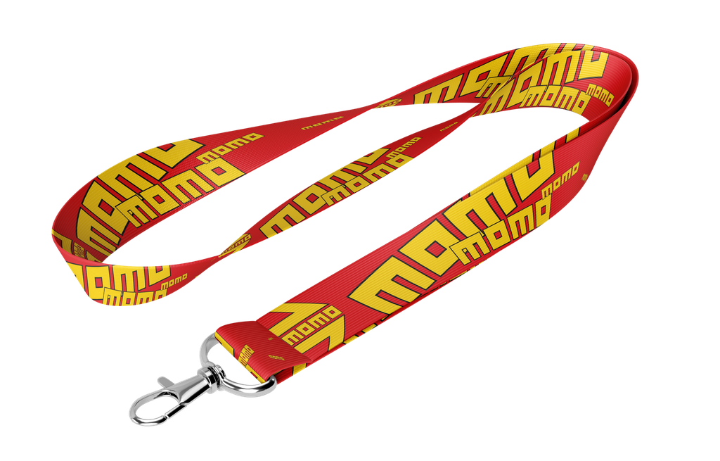 Lanyard